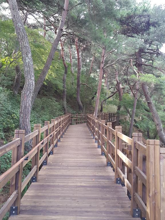 Pyeongchang River House 外观 照片
