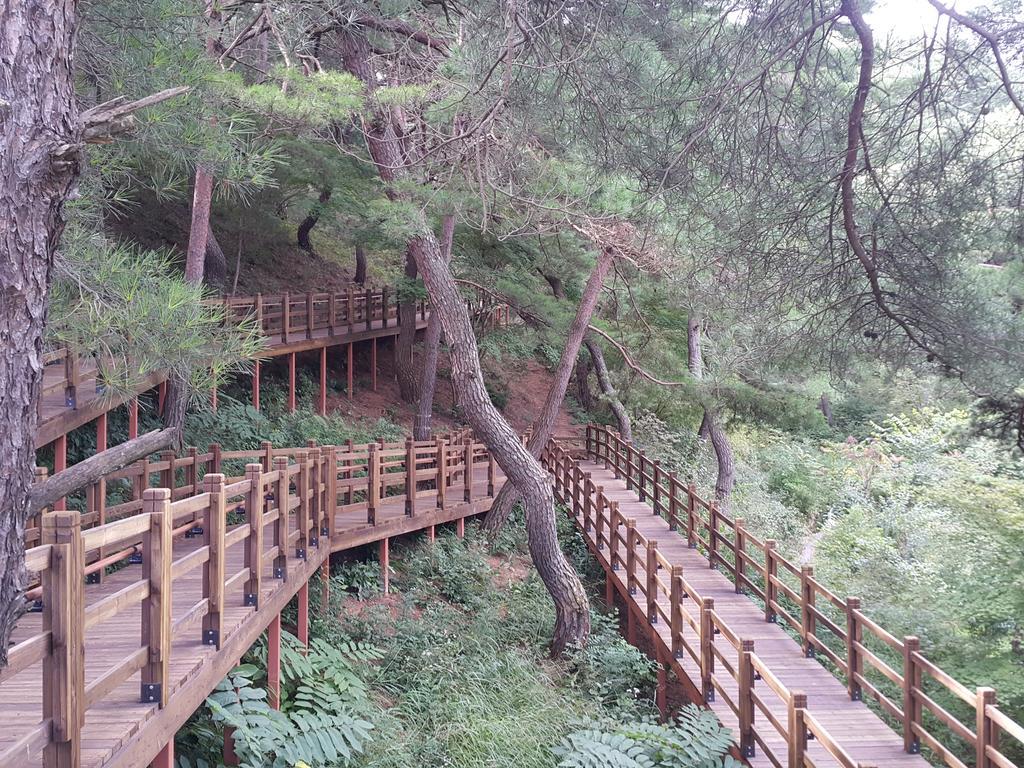Pyeongchang River House 外观 照片