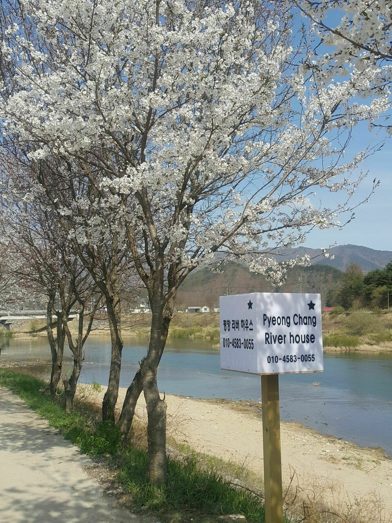 Pyeongchang River House 外观 照片